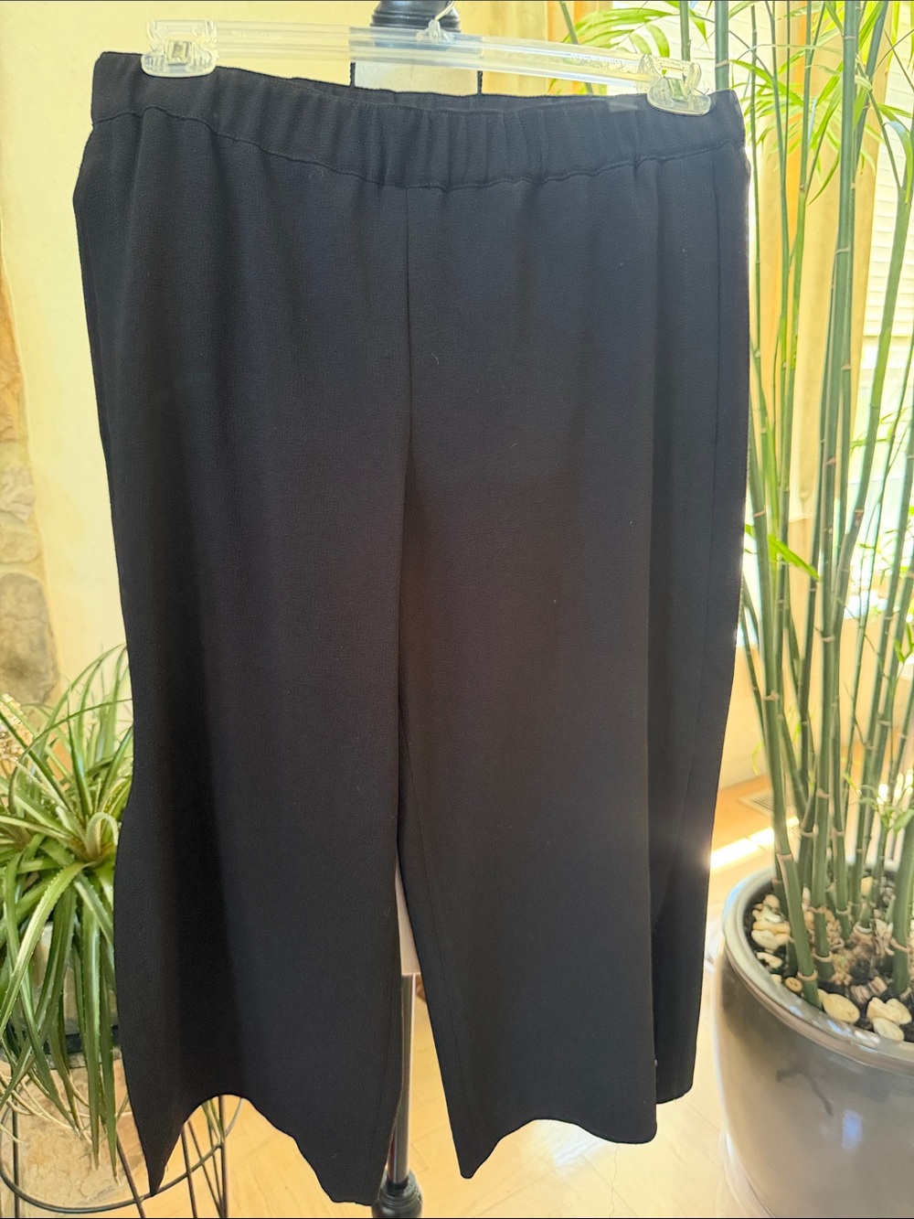Black Wide-Leg Pull-On Pants - Women
